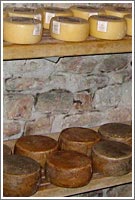 Il Pecorino di Norcia