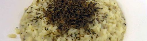 Risotto tartufo nero Norcia